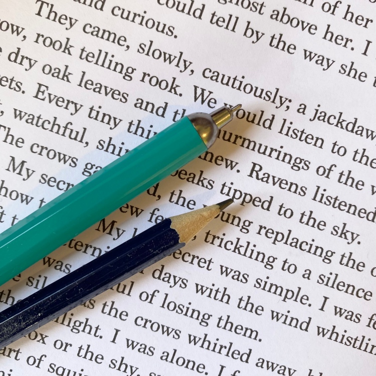 A pen and pencil laid on a piece of paper with printed text on it.